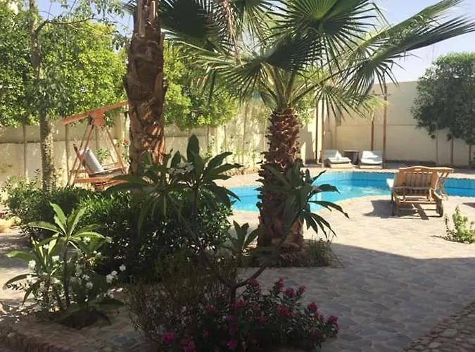 Sunny Vacations