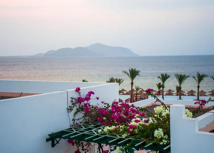 Coral Beach Resort Montazah (Adults Only)