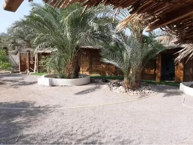 Dolphin Camp