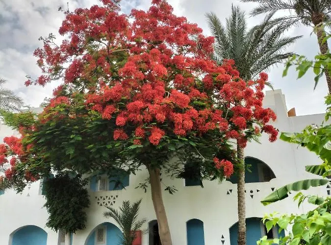 One Bedroom Apartment In Coral Bay Roby