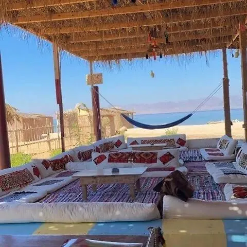 Taj Camp