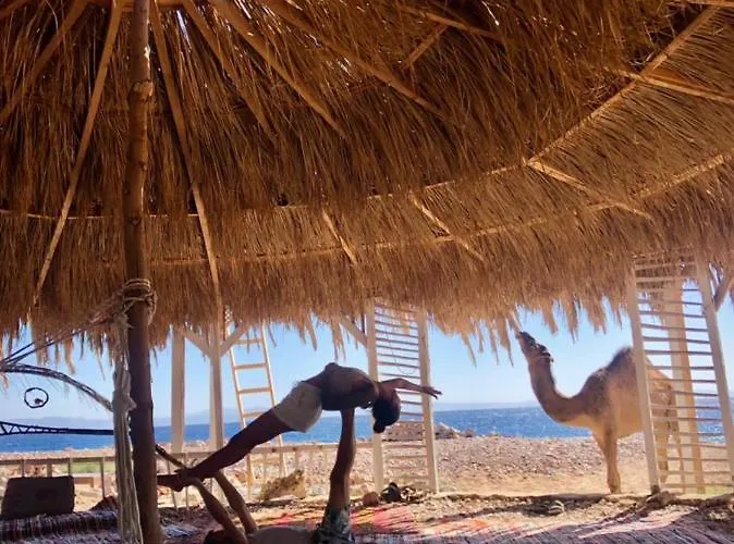 Cosmos Eco Lodge And Spiritual Community