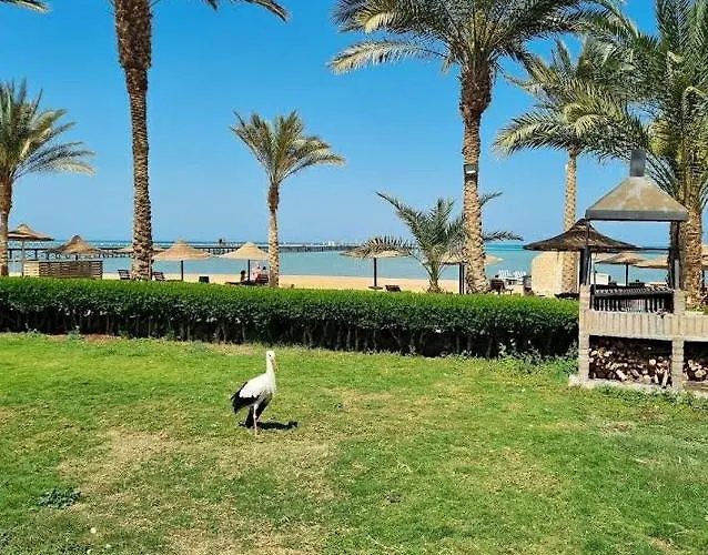 Palma Resort