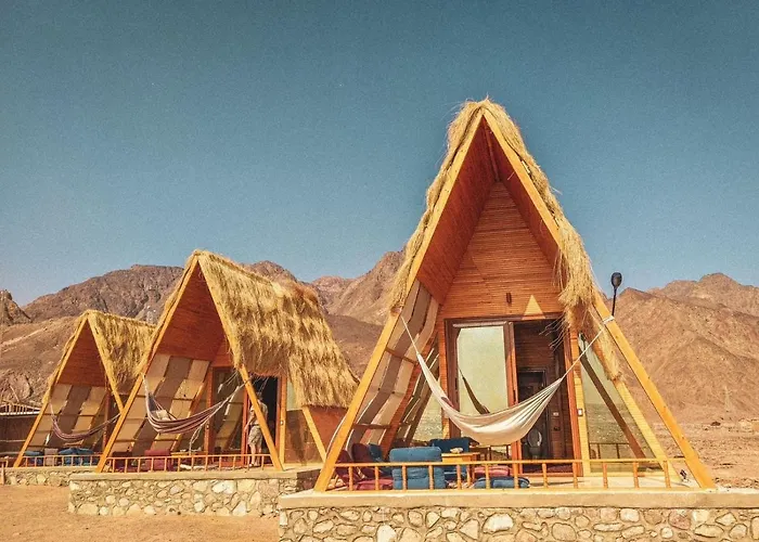 Aladdin Camp