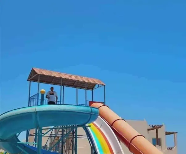 Sharks Pay Resort