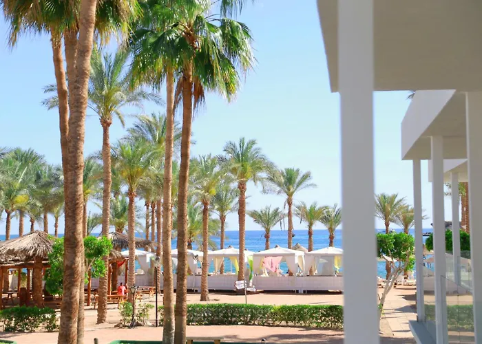Seti Sharm Palm Beach Resort Families And Couples Only