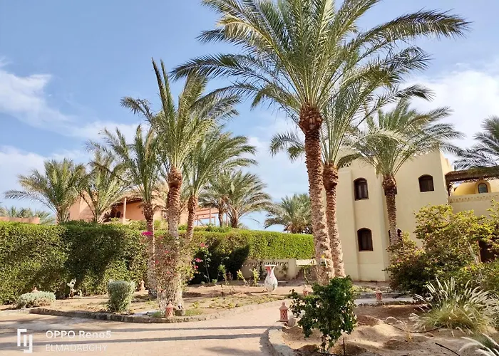 Villa 9 Ph-5 With 4 Bed Room