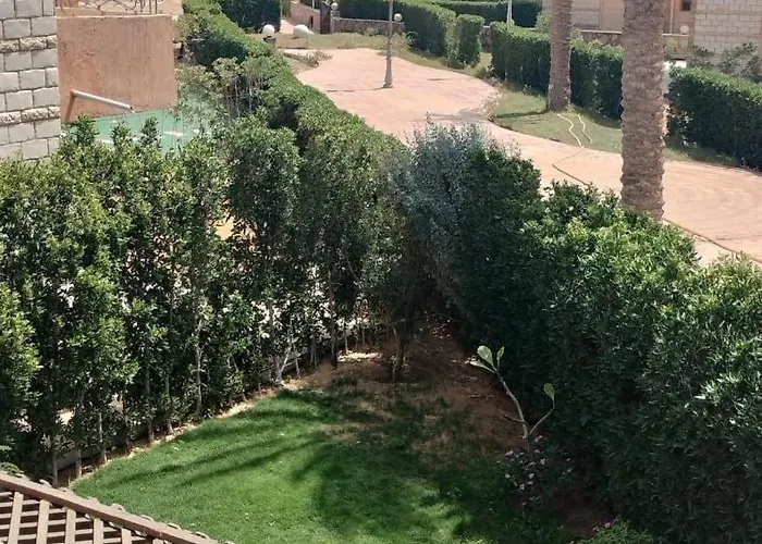 العين السخنة