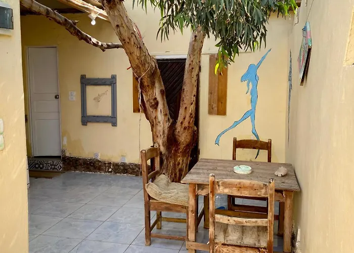 Courtyard Eel Garden