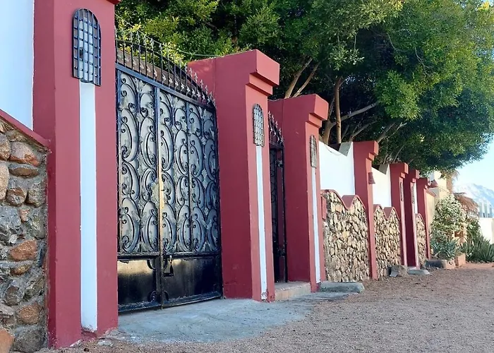 Red Oasis
