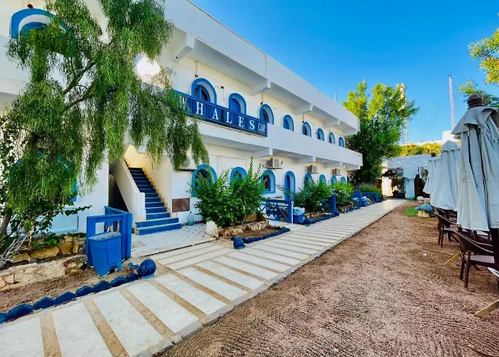 Whales Camp Dahab
