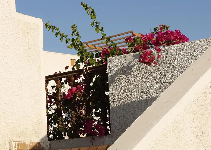 Amfiba Dahab