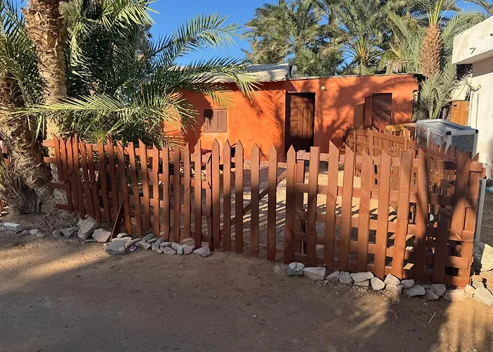 Cozy Camel Studios