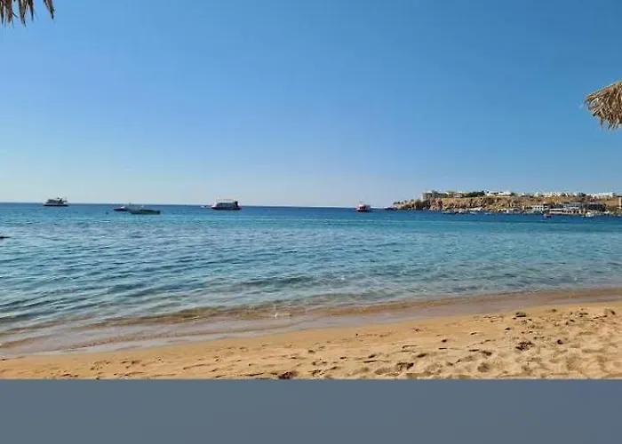 Sharm Dreams Hotely Jaz