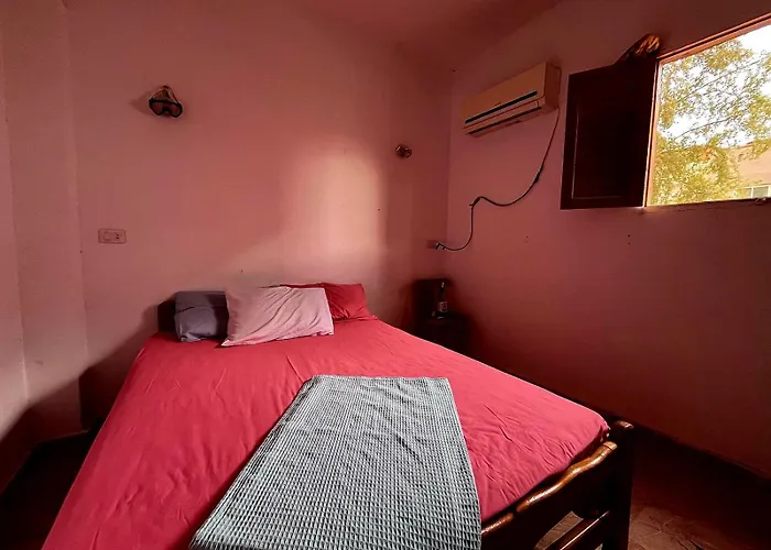 Amfibianhouse