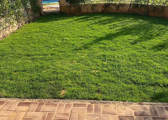 Piacera 201