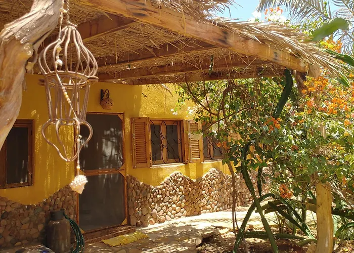 Jillyfish House Dahab - Deine Oase In Zwei Palmengaerten - Zentral Am 'Lighthouse'