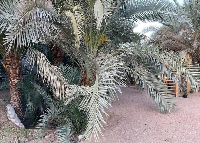 Palm Nest Home
