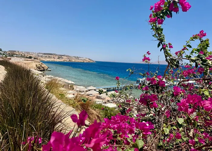 Red Sea Oasis Luxury Apartment