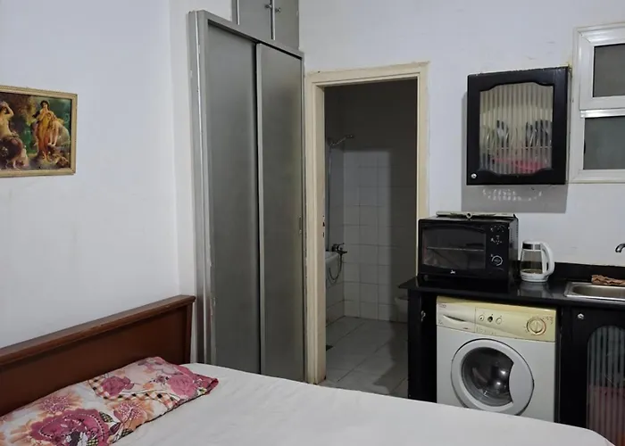 Lotos studio