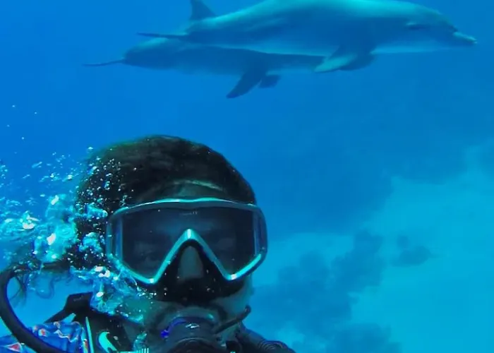 Private Diving In Hurghada