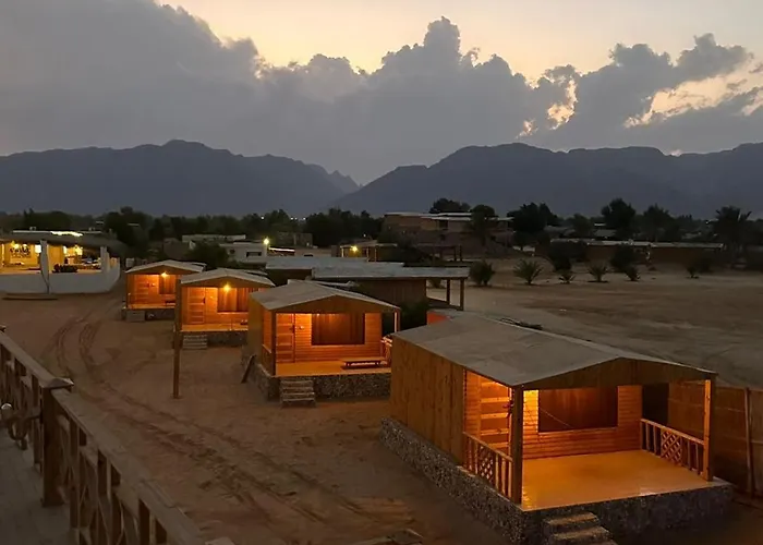 Seavia Camp