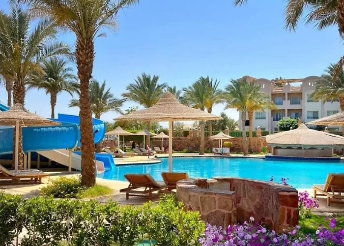 Sunset Pearl Sahl Hasheesh