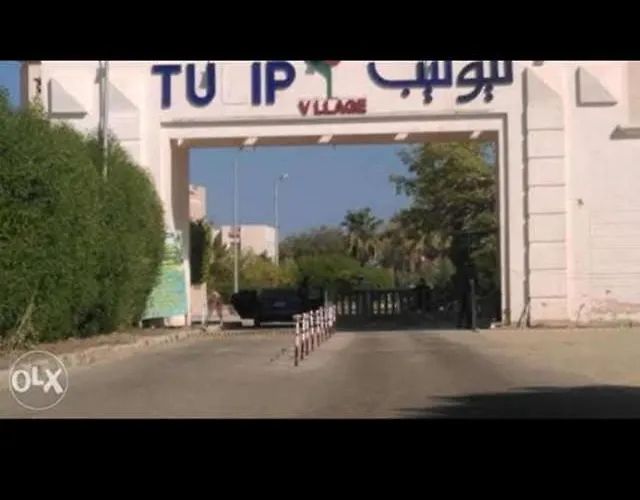 العين السخنة