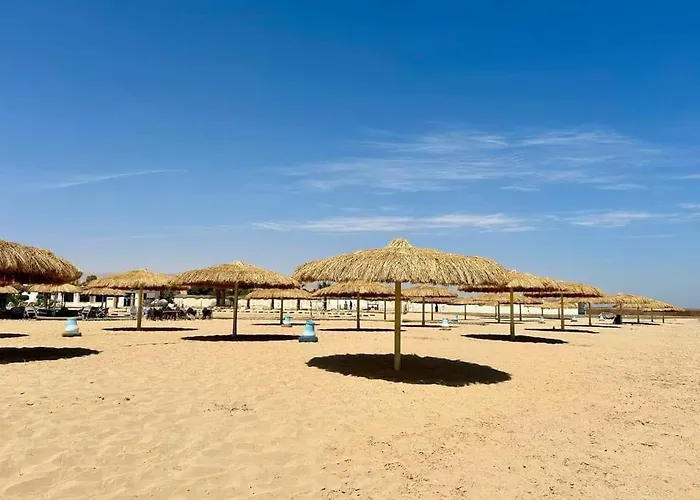 شاليه بحديقة