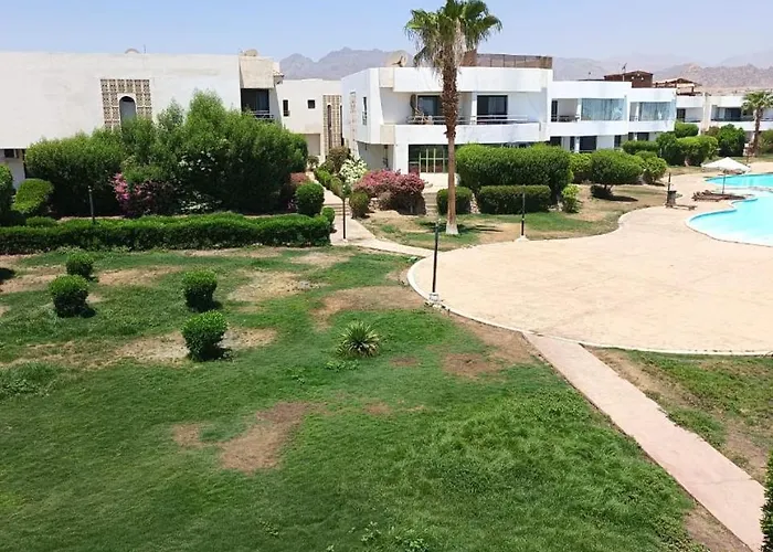 الدوليه للتسويق العقارى
