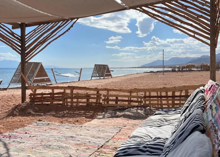 Anne Sinai Best Camp