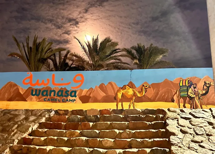 Wanasa Camel