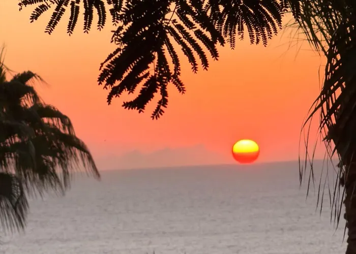 Appartamento Domina Coral Bay