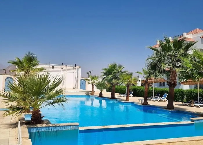 Modern Apartment With A Private Specious Roof