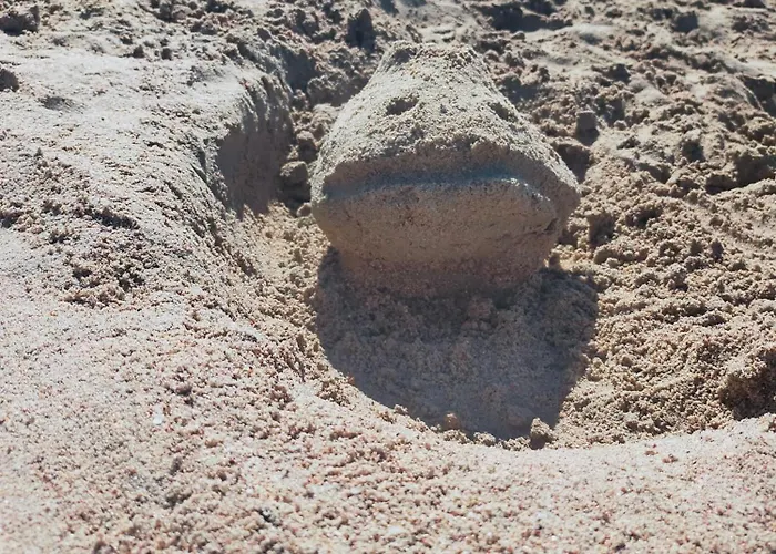 راس غارب هوم Ras Gharib House, Red Sea