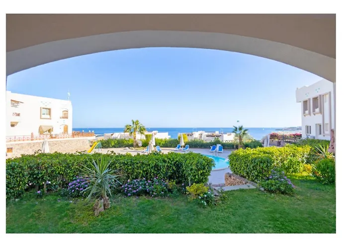 Ss-2255 Seaview Sharks Bay Oasis