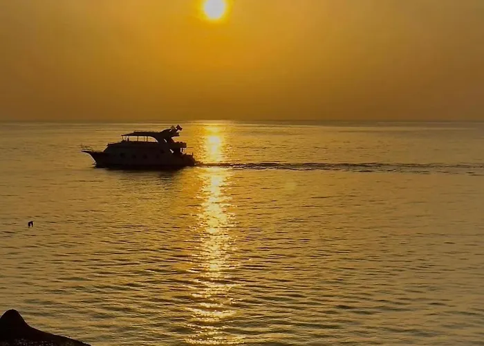 Coral Sultan Tre