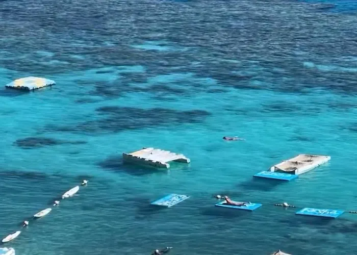 Coral Sultan 3 Private