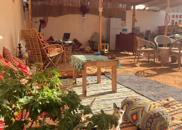 Safezone Guesthouse