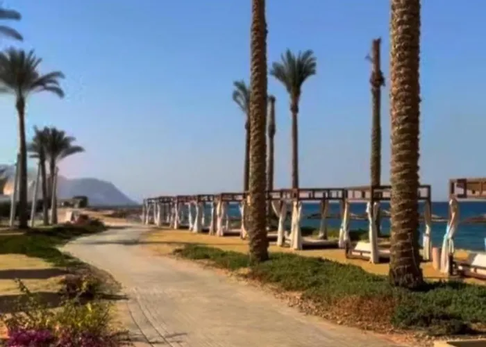 جروف السخنه The Groove Elsokhna