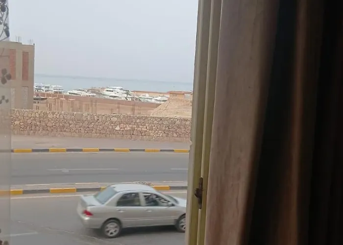 فينوس