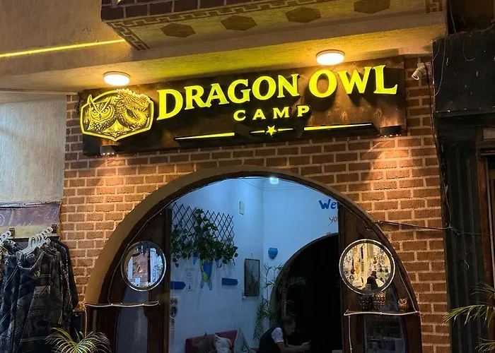 Dragon Owl Camp