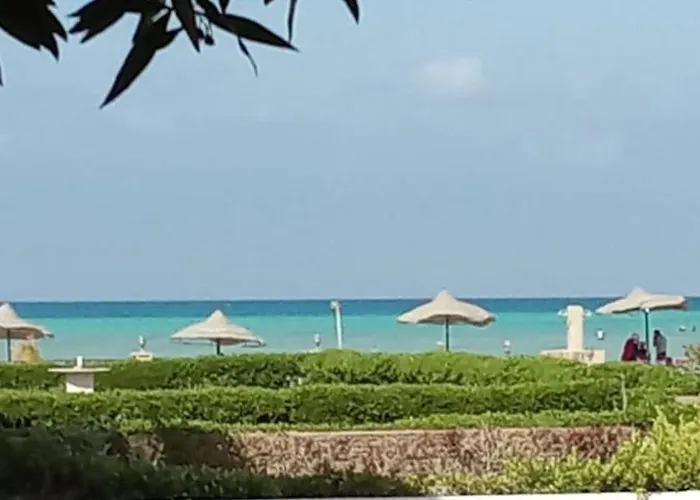 Villa Sayed