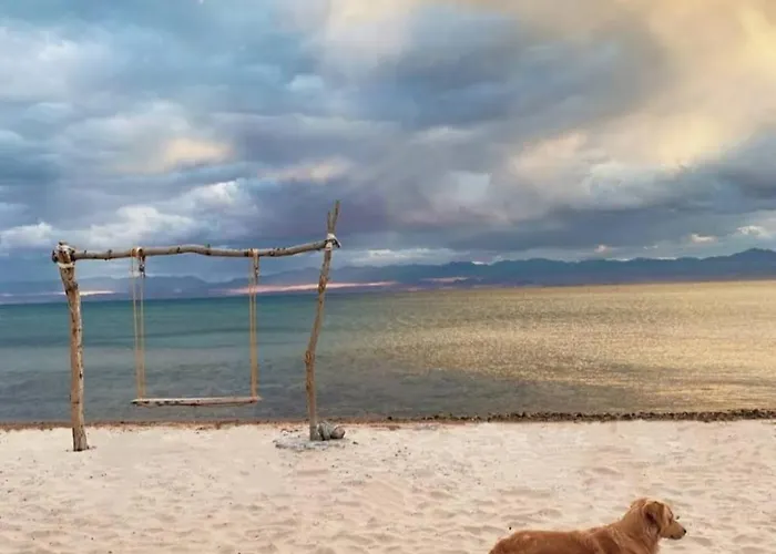 New Rosa Beach Camp