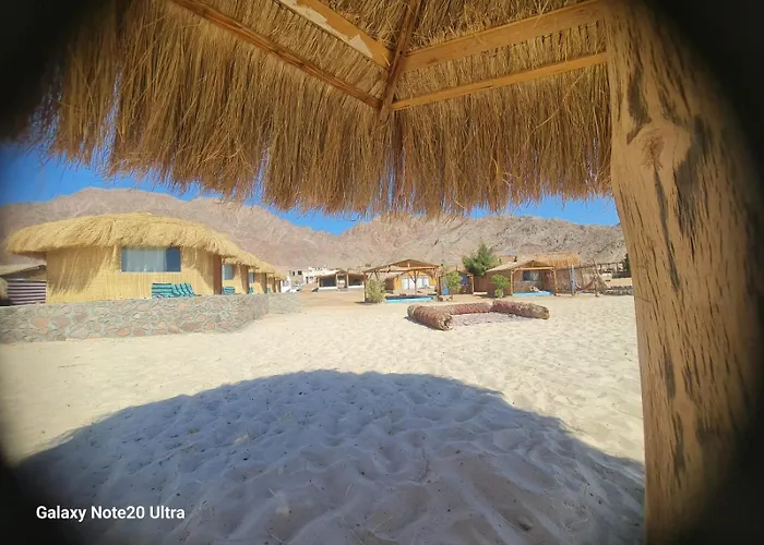 Viva La Vida Beach Camp