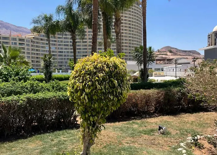 It Is A Porto Sokhna