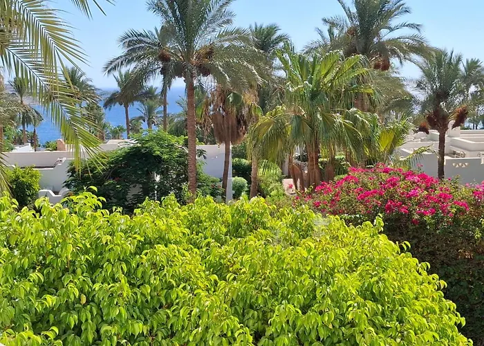Suit Privata Coral Bay