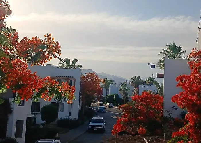 Grosse Wohnung In Delta Sharm