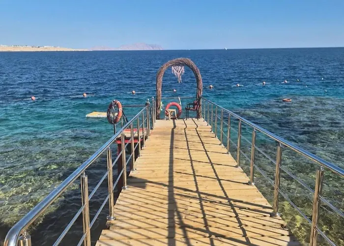 Halomy Resort