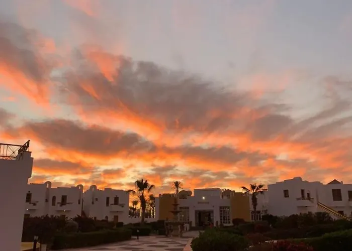 Halomy Resort